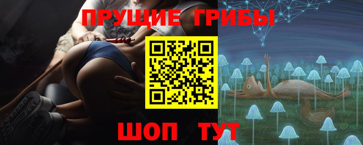 Псилоцибиновые грибы Psilocybine cubensis Дюртюли