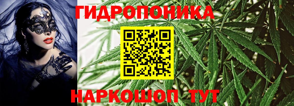 Бошки Шишки семена Дюртюли